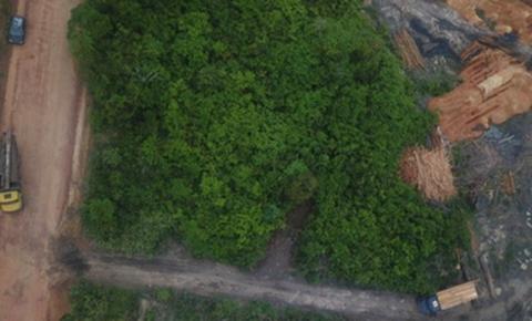 Pará é o estado que mais cancelou cadastros rurais em terras indígenas e unidades de conservação, diz estudo